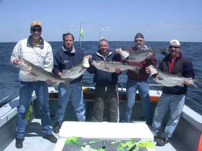 L-R  John Dobberthein, John Kaufmann, Mike Bertolino, Dave Lorenzi, Chuck Acton