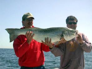 Jon assists Jay with this 44 1/2 in striper, the largest thus far this season!