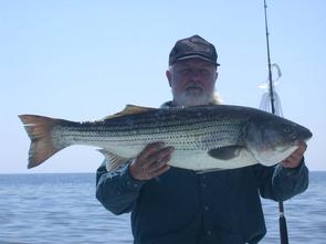 Alan with his trophy 37 inch striper