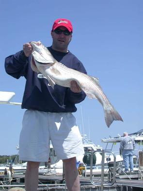 Tom and his first Chesapeake Bay striper