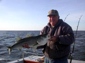 The "Best mate on the Bay" Buddy Schuh, releases another!