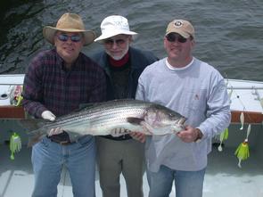 Richard Steele, Larry & Josh Kaplan with one of many stripers they captured today!