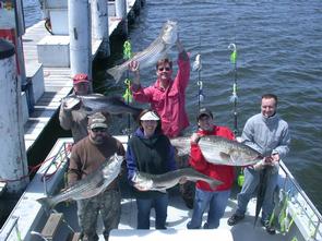 L-R Row 1 Bill Knudsen, Sara Moya, Alex Gruening, Marc Voltz<br />Row 2 Roland & Brian Murphy