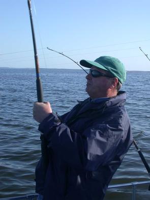 Bob cranks as another rockfish comes to the stern