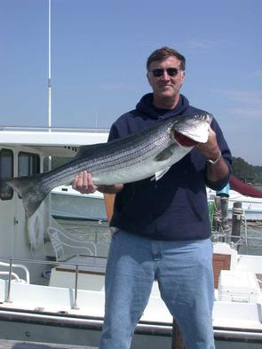 Bob, happy with this catch!