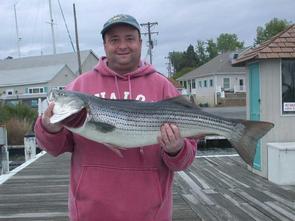 Looking for a Bubba, Bill found this one lurking about