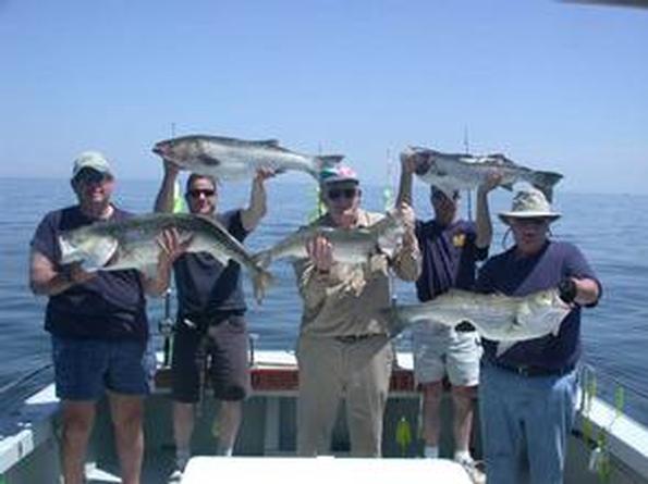 L-R  Lou Mintzer, Brian Nichols, Fred Villiard, Tom Burns, Bob Zeigler