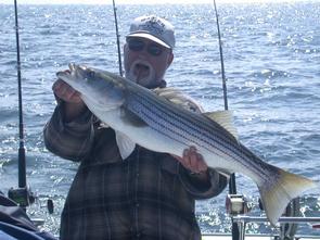 Tom and his trophy striper prior to being released!