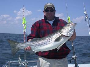 This beauty caught by Brian was 26 pounds and 42 inches in length