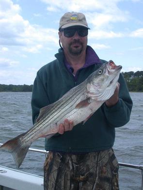 Tim with this nice 32 inch striper on a spinning rod