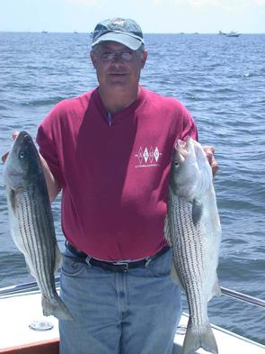 Peter with two nice stripers on light tackle
