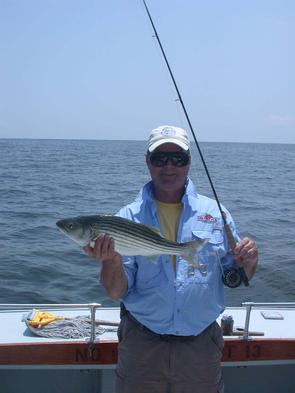 Jeff pleased with this 23 inch striper on a 6 weight fly rod