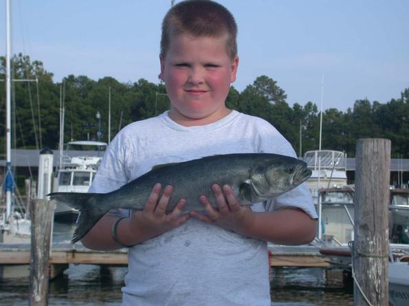 Travis and his first Chesapeake Bay blue