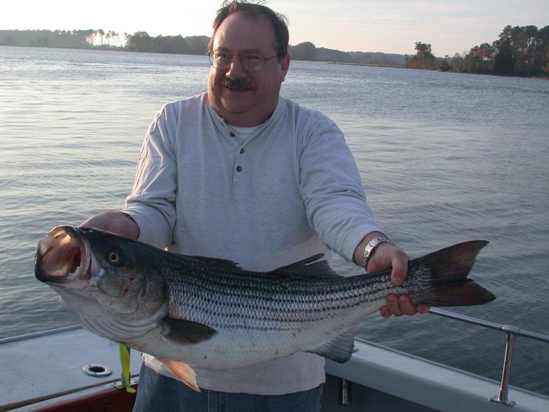 Terry Anderson had this nice 38 inch srriper