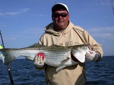 Troy with this nice and great eating sized 36 inch rock