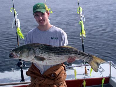 Matt was quite powerful as he whipped this striper!