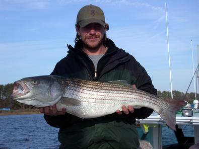 Leader of the pack Wayne with this nice 36 incher