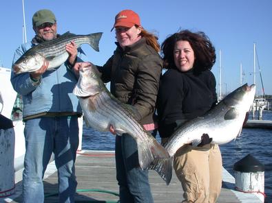 L-R Jim Foreit, Carolyn Peters, Rebecca Canino