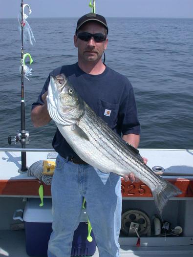 Glenn very satisfied with his first striper on the Chesapeake Bay
