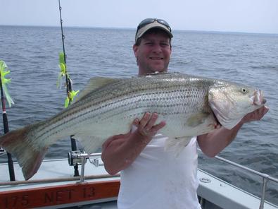 This 33 pound 43 incher succumbed to John Keith!