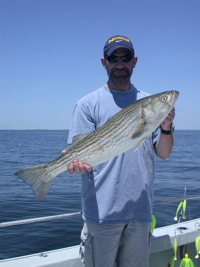 Ed the real fisherman was netting and lining the fish to the net today!
