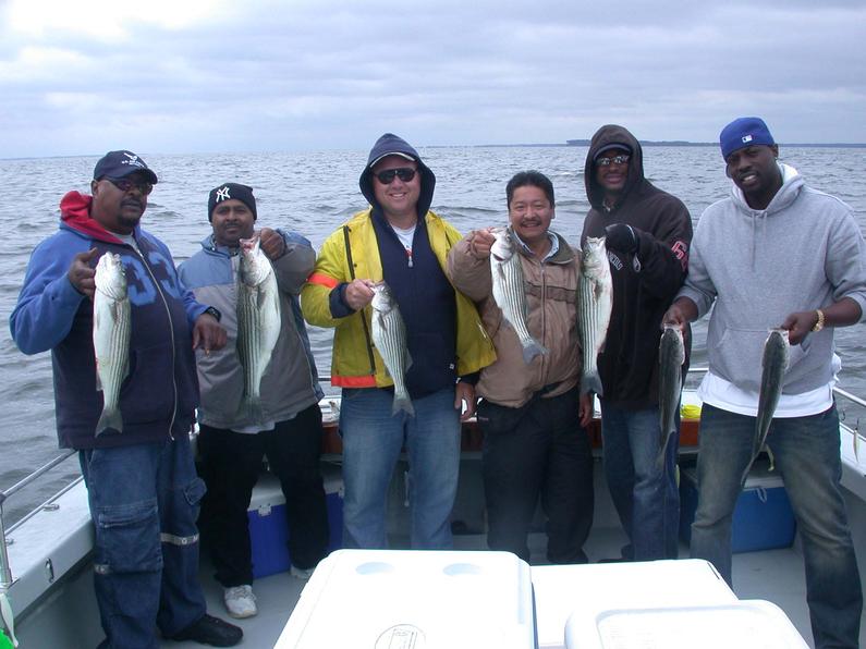 L-R Will Rayner, Gilbert Hickman, Wayne Smith, Mike Furukawa, Robert Jones, Cameron Frasier