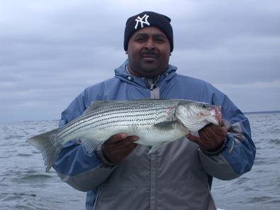 Big Gilbert and the big fish