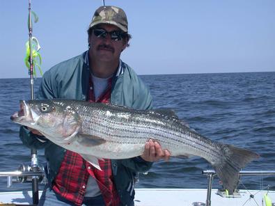 Tim came to earth from steel construction to catch this nice striper!