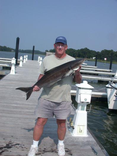 Capt Gary with the first Cobia of the day!