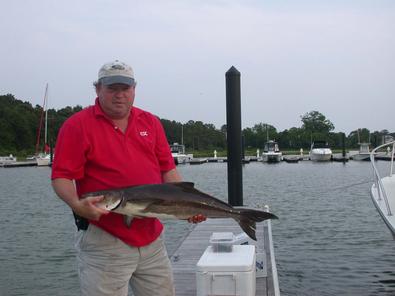 Big Jim, the Cobia leader