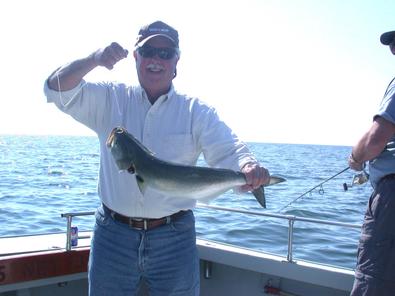 These 5-7 pound bluefish like Steve's are reminiscent of the 1980's!
