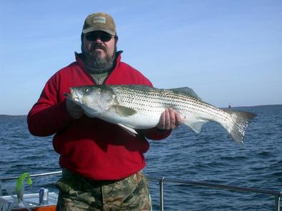 Always dependable Tony with this great eating striper!