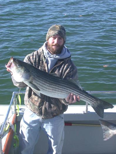 Matt had fun with this pretty one!