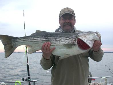 One of two that Alan landed today!