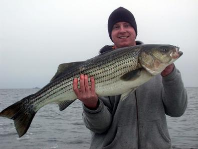 Wayne showed some fine form as he brought this stripper to the boat.