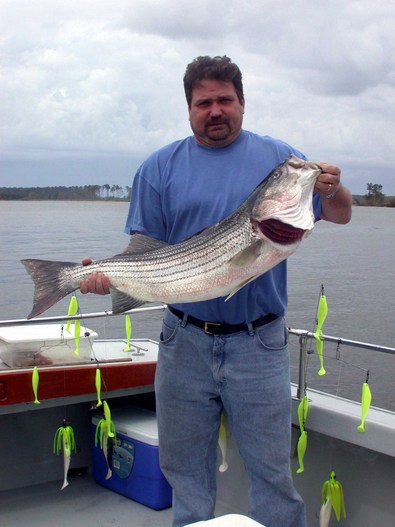 Vernon's 12th year with Capt Gary and he is still catching