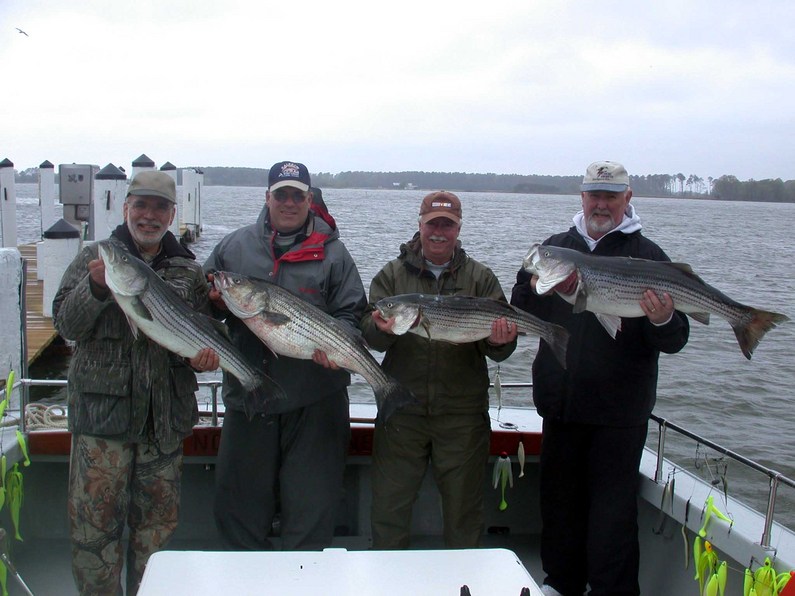 L-R Ed Marzio, Gene Montim, Steve Horvath, Dan Steffy with four of the 14 they caught today!