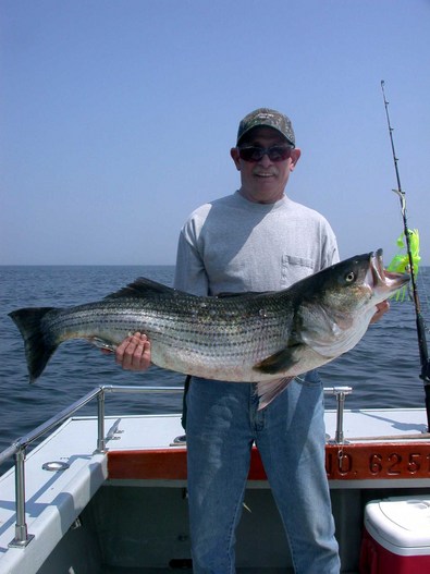Bill and his 441/2 inch 33 pound striper