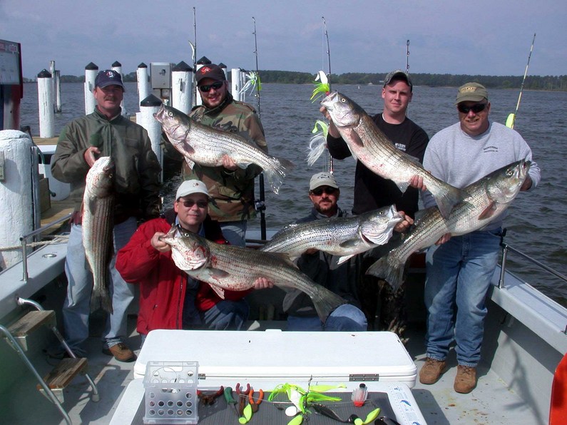 Front: Andy Bock & John Arguelles<br />L-R Dennis Riggs, Nick Sizemore, Brandon Myers, Chuck Rister
