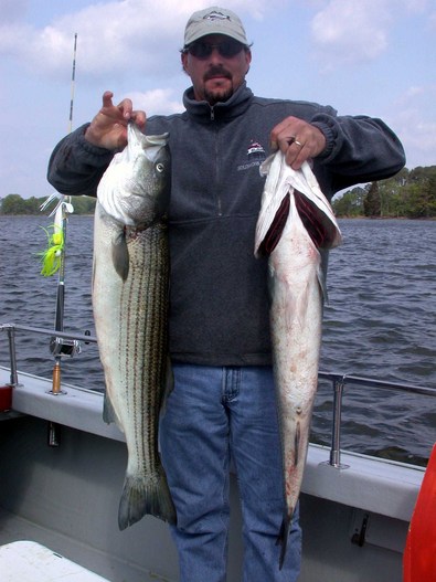 Energetic John and two of his several trophy fish today