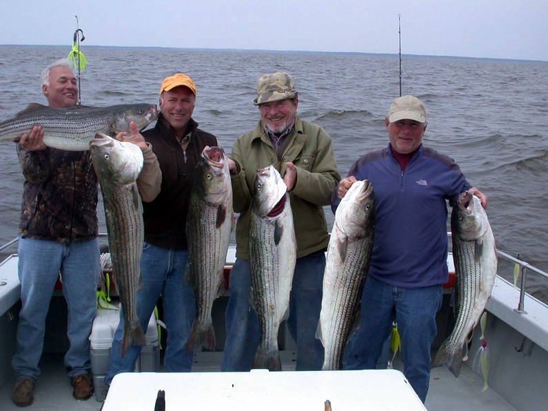 L-R Larry Hoffman, Bruce Abel, Courtney Camp, Chuck Sachs