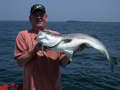 This 37 could not get past Bill