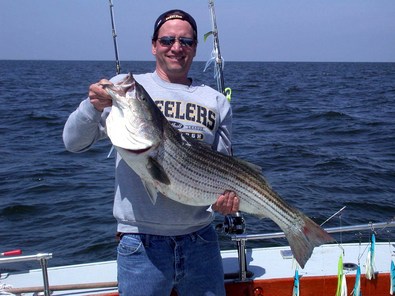 Steve's big fish