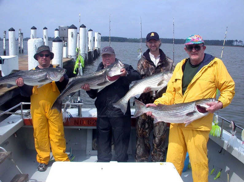 L-R Greg & Jack Davis, Joe Buccine, Fred Villiard