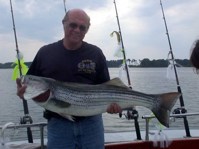 Jim is now going to the local gym daily to get ready for his next Bay trip