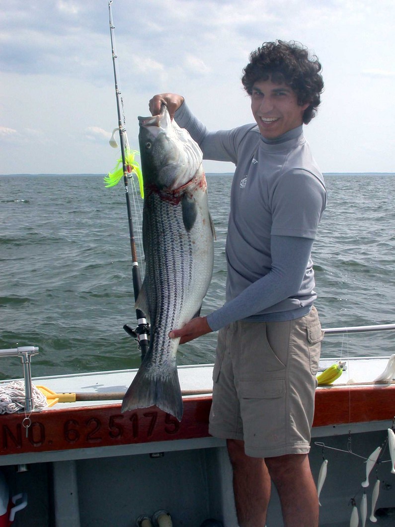 Matt and this Chesapeake Bay trophy on his first MARICA II trip!
