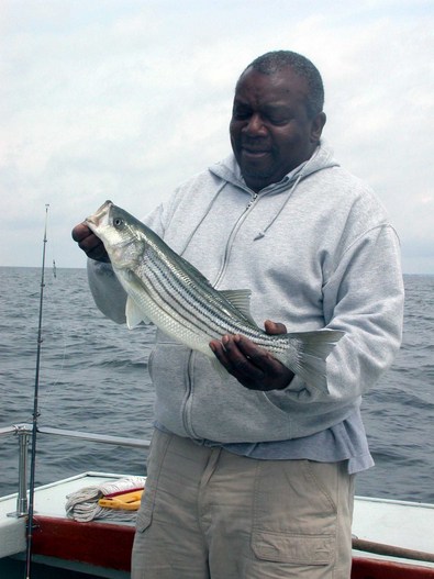 What a pretty fish in the frying pan!